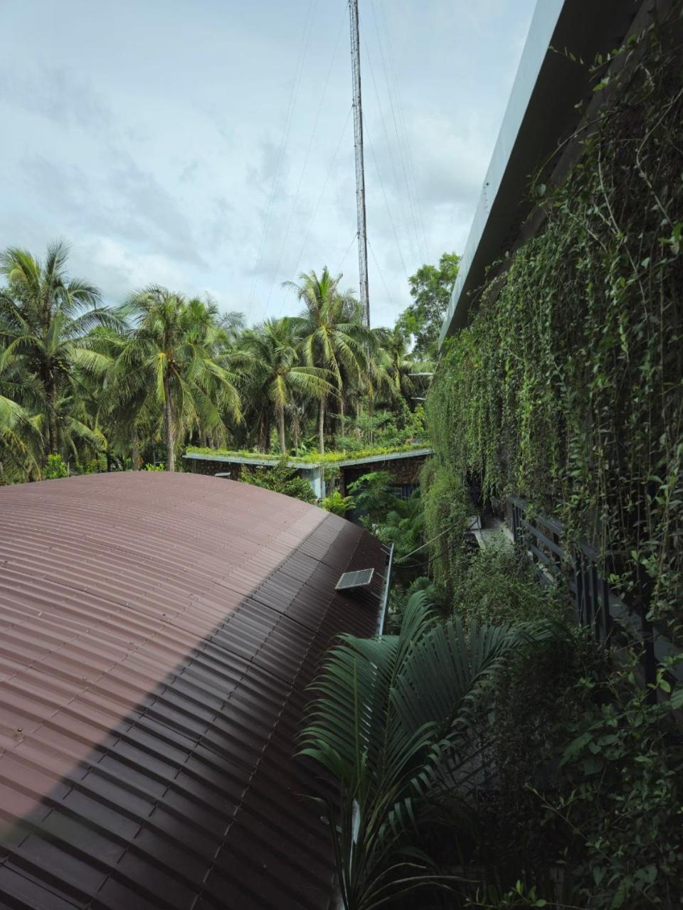 Homestay Bao Binh Ben Tre Екстериор снимка