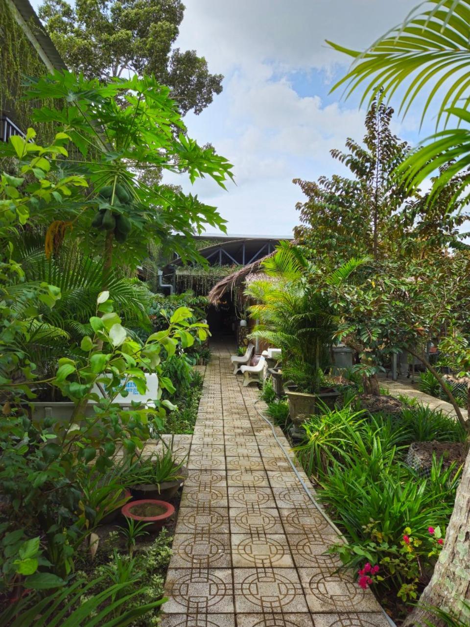 Homestay Bao Binh Ben Tre Екстериор снимка