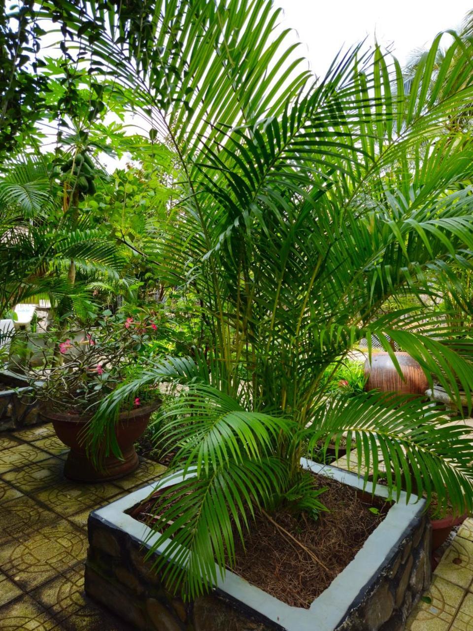 Homestay Bao Binh Ben Tre Екстериор снимка